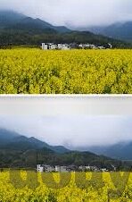 91糖心视频app下载-探寻成人娱乐新颖观影体验，91糖心视频的下载捷径