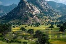 国产成人免费a在线视频-国产成人免费a在线视频，网络时代的文化与伦理边界